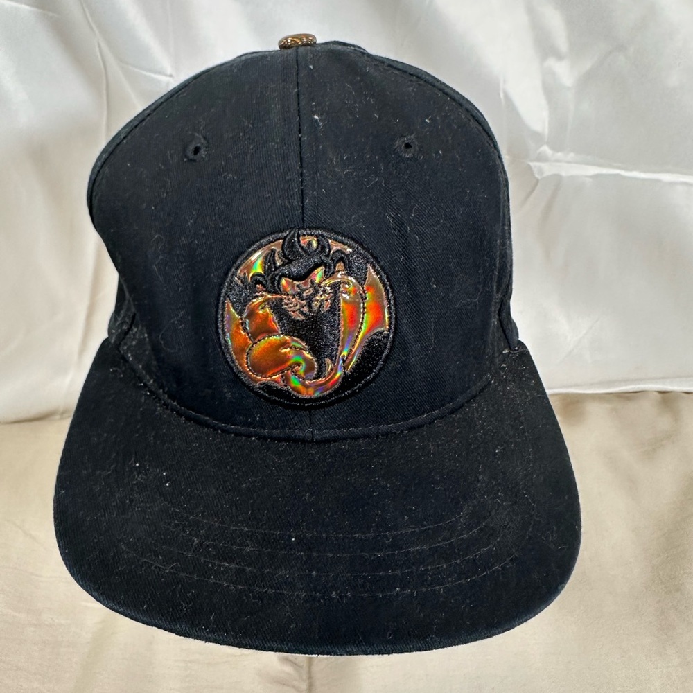 Loony Toons Taz Tasmanian Devil Six Flags Black Adult Metallic Snapback Hat